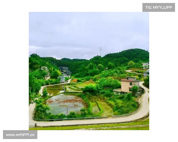 桃花源记新区攻略-桃花源记多久开新区:桃花源记新区攻略:踏上世外桃源的征途 桃花源记新区攻略-桃花源记多久开新区:桃花源记新区攻略:踏上世外桃源的征途